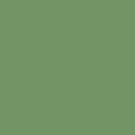 НЕФРИТОВЫЙ ЗЕЛЕНЫЙ (JADE GREEN) НЕФРИТОВЫЙ ЗЕЛЕНЫЙ (JADE GREEN)