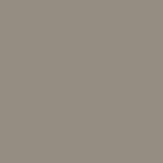 БЛЕДНО-ЗЕЛЕНЫЙ (DULL GREEN) БЛЕДНО-ЗЕЛЕНЫЙ (DULL GREEN)
