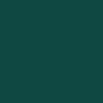 ЭКОЛОГИЧНЫЙ ЗЕЛЕНЫЙ (BIOME GREEN) ЭКОЛОГИЧНЫЙ ЗЕЛЕНЫЙ (BIOME GREEN)